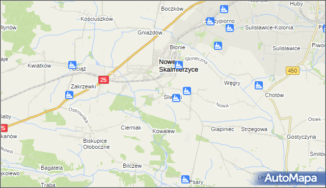 mapa Śliwniki gmina Nowe Skalmierzyce, Śliwniki gmina Nowe Skalmierzyce na mapie Targeo