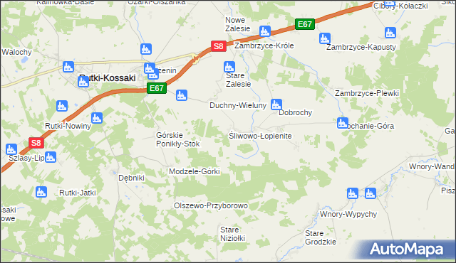 mapa Śliwowo-Łopienite, Śliwowo-Łopienite na mapie Targeo