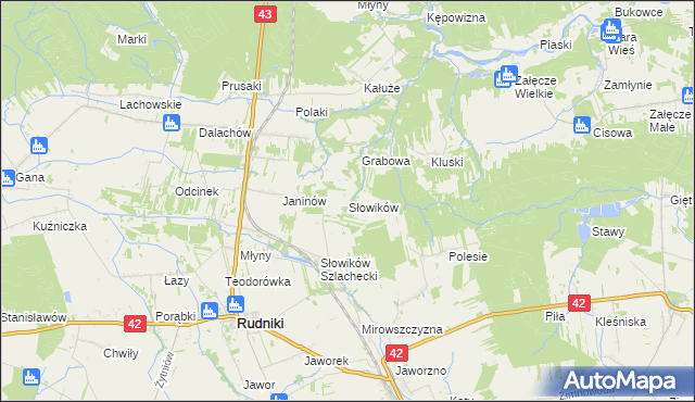 mapa Słowików gmina Rudniki, Słowików gmina Rudniki na mapie Targeo