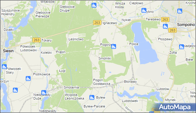 mapa Smolniki gmina Ślesin, Smolniki gmina Ślesin na mapie Targeo