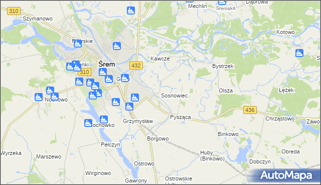 mapa Sosnowiec gmina Śrem, Sosnowiec gmina Śrem na mapie Targeo