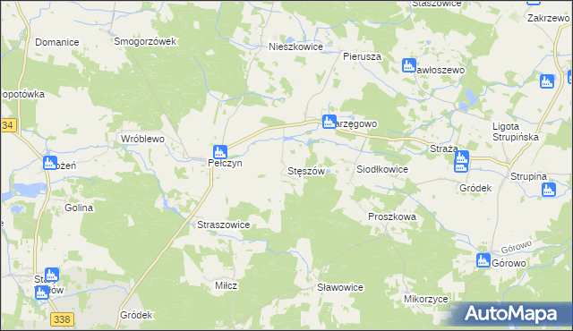 mapa Stęszów gmina Wołów, Stęszów gmina Wołów na mapie Targeo