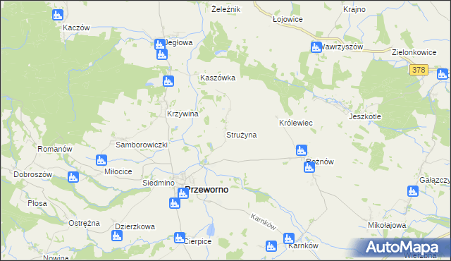 mapa Strużyna gmina Przeworno, Strużyna gmina Przeworno na mapie Targeo