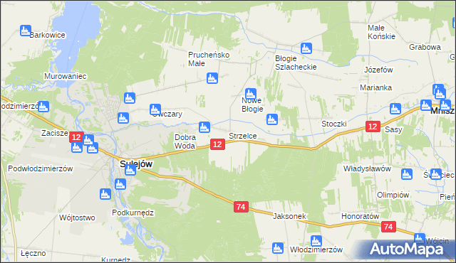 mapa Strzelce gmina Mniszków, Strzelce gmina Mniszków na mapie Targeo