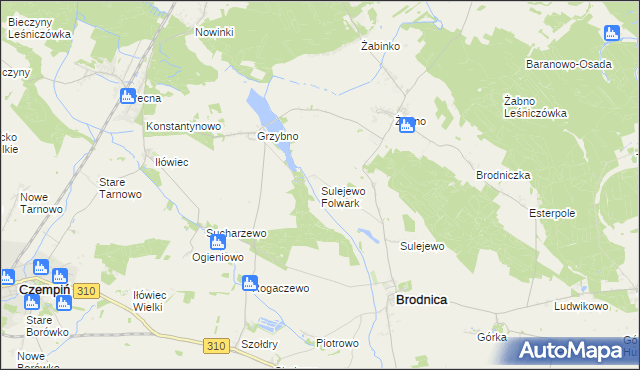 mapa Sulejewo Folwark, Sulejewo Folwark na mapie Targeo