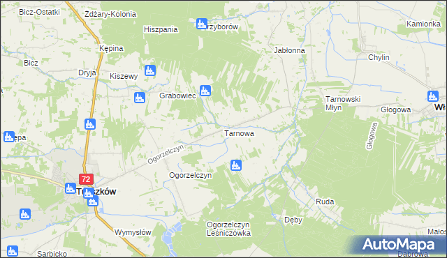 mapa Tarnowa gmina Tuliszków, Tarnowa gmina Tuliszków na mapie Targeo