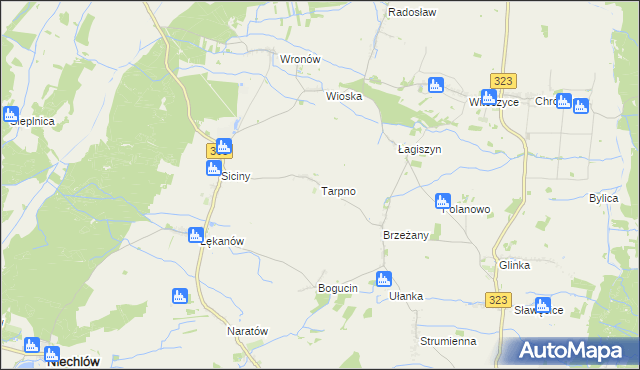 mapa Tarpno gmina Niechlów, Tarpno gmina Niechlów na mapie Targeo