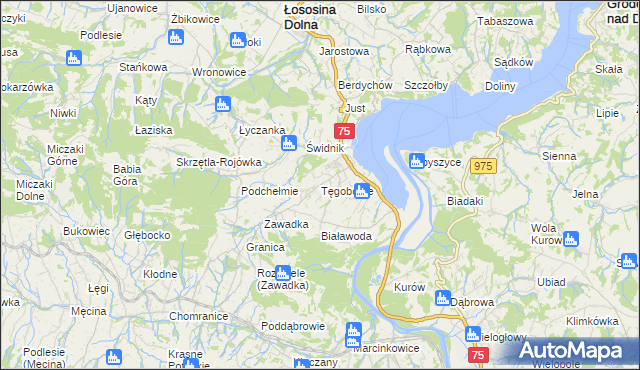 mapa Tęgoborze, Tęgoborze na mapie Targeo