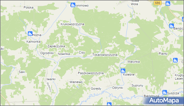 mapa Tokarowszczyzna, Tokarowszczyzna na mapie Targeo