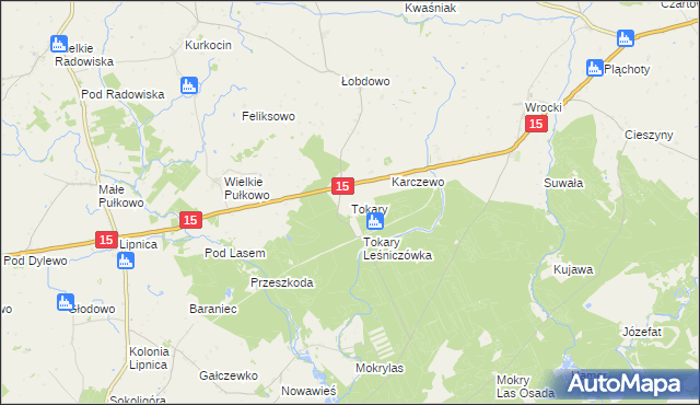 mapa Tokary gmina Golub-Dobrzyń, Tokary gmina Golub-Dobrzyń na mapie Targeo