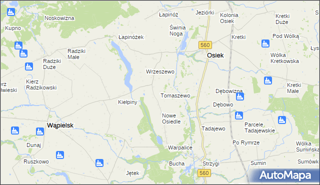 mapa Tomaszewo gmina Osiek, Tomaszewo gmina Osiek na mapie Targeo