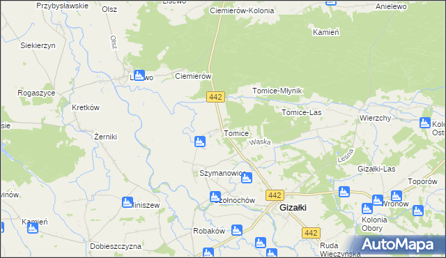 mapa Tomice gmina Gizałki, Tomice gmina Gizałki na mapie Targeo