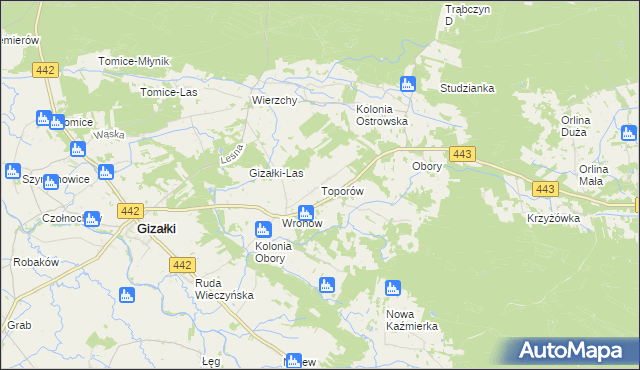 mapa Toporów gmina Gizałki, Toporów gmina Gizałki na mapie Targeo