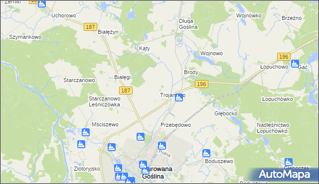 mapa Trojanowo gmina Murowana Goślina, Trojanowo gmina Murowana Goślina na mapie Targeo