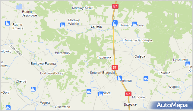 mapa Trzcianka gmina Przasnysz, Trzcianka gmina Przasnysz na mapie Targeo