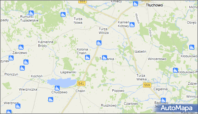 mapa Trzcianka gmina Tłuchowo, Trzcianka gmina Tłuchowo na mapie Targeo