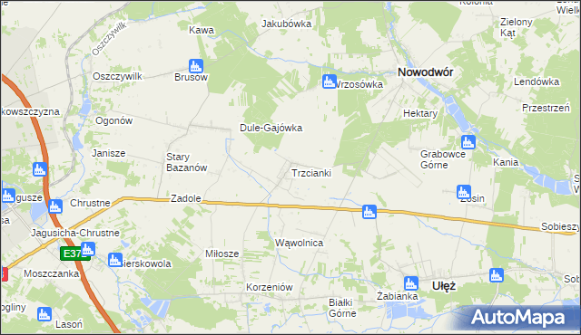 mapa Trzcianki gmina Nowodwór, Trzcianki gmina Nowodwór na mapie Targeo