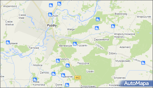 mapa Trzcianki gmina Pyzdry, Trzcianki gmina Pyzdry na mapie Targeo