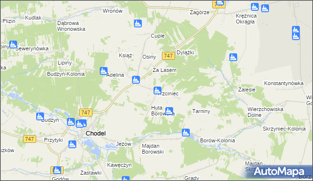 mapa Trzciniec gmina Chodel, Trzciniec gmina Chodel na mapie Targeo