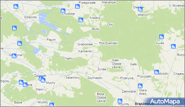 mapa Trzcinka gmina Brąszewice, Trzcinka gmina Brąszewice na mapie Targeo