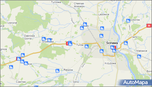 mapa Turów gmina Ścinawa, Turów gmina Ścinawa na mapie Targeo