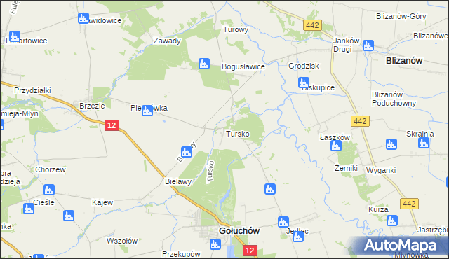 mapa Tursko gmina Gołuchów, Tursko gmina Gołuchów na mapie Targeo