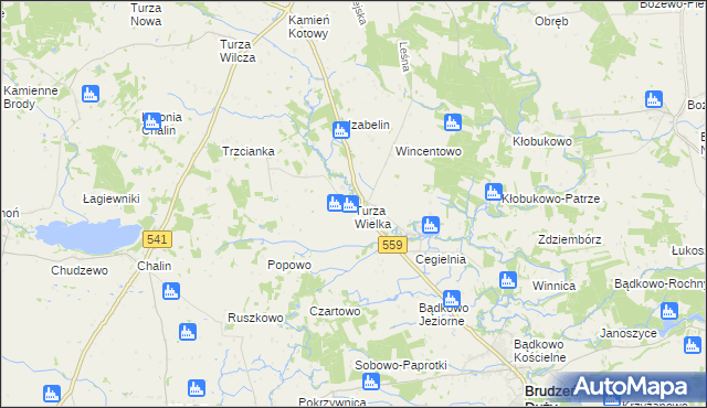 mapa Turza Wielka gmina Brudzeń Duży, Turza Wielka gmina Brudzeń Duży na mapie Targeo