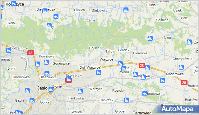 mapa Warzyce, Warzyce na mapie Targeo