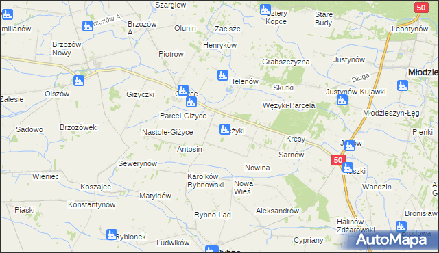 mapa Wężyki, Wężyki na mapie Targeo