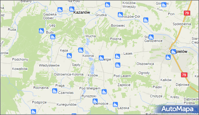 mapa Wielgie gmina Ciepielów, Wielgie gmina Ciepielów na mapie Targeo