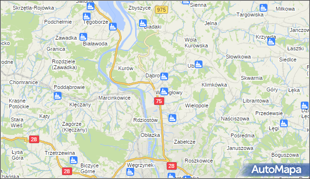 mapa Wielogłowy gmina Chełmiec, Wielogłowy gmina Chełmiec na mapie Targeo