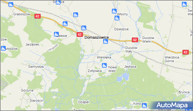 mapa Wielołęka gmina Domaszowice, Wielołęka gmina Domaszowice na mapie Targeo