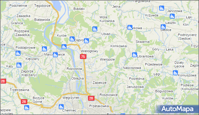 mapa Wielopole gmina Chełmiec, Wielopole gmina Chełmiec na mapie Targeo