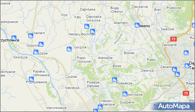 mapa Wielopole gmina Olesno, Wielopole gmina Olesno na mapie Targeo