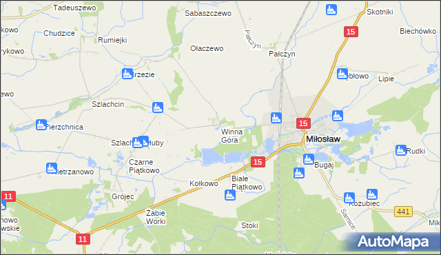 mapa Winna Góra gmina Środa Wielkopolska, Winna Góra gmina Środa Wielkopolska na mapie Targeo