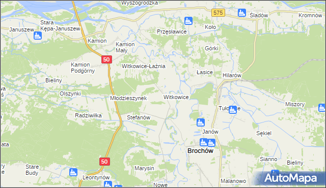 mapa Witkowice gmina Młodzieszyn, Witkowice gmina Młodzieszyn na mapie Targeo