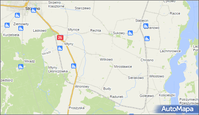 mapa Witkowo gmina Strzelno, Witkowo gmina Strzelno na mapie Targeo