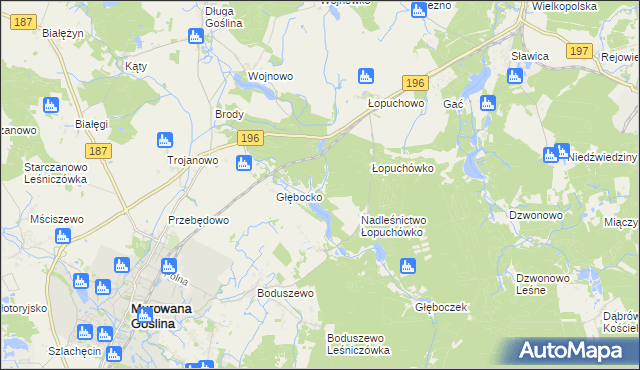 mapa Worowo gmina Murowana Goślina, Worowo gmina Murowana Goślina na mapie Targeo
