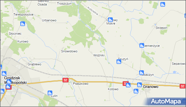 mapa Woźniki gmina Grodzisk Wielkopolski, Woźniki gmina Grodzisk Wielkopolski na mapie Targeo