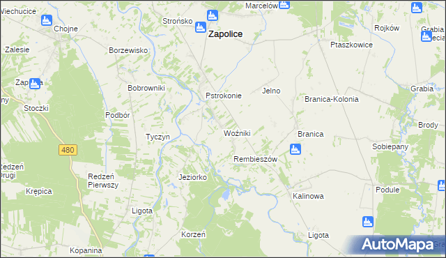 mapa Woźniki gmina Zapolice, Woźniki gmina Zapolice na mapie Targeo