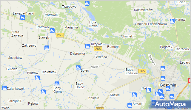 mapa Wrząca gmina Gostynin, Wrząca gmina Gostynin na mapie Targeo