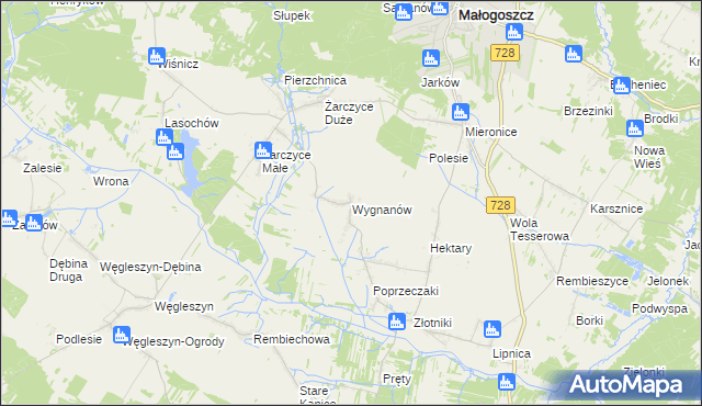 mapa Wygnanów gmina Małogoszcz, Wygnanów gmina Małogoszcz na mapie Targeo