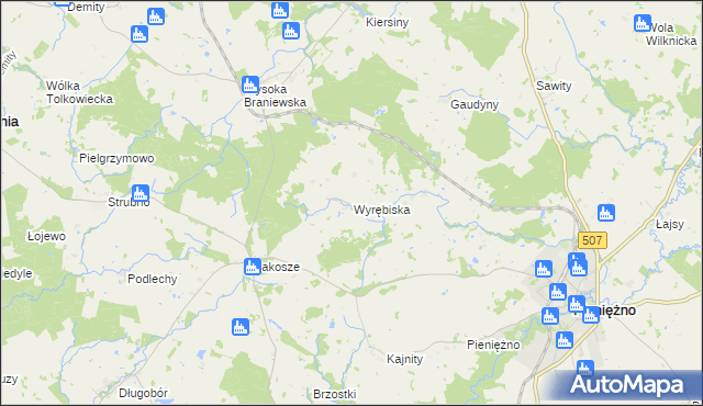 mapa Wyrębiska gmina Pieniężno, Wyrębiska gmina Pieniężno na mapie Targeo