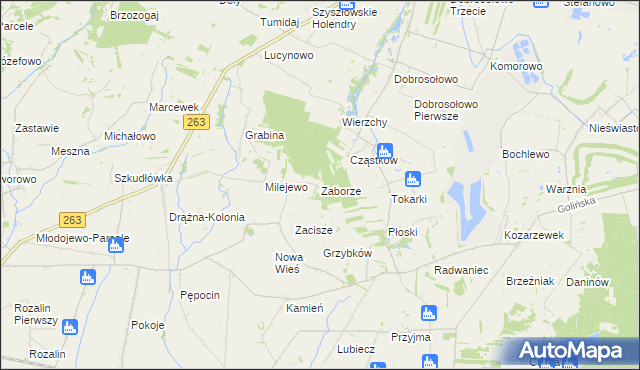 mapa Zaborze gmina Słupca, Zaborze gmina Słupca na mapie Targeo