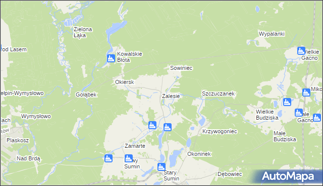 mapa Zalesie gmina Cekcyn, Zalesie gmina Cekcyn na mapie Targeo