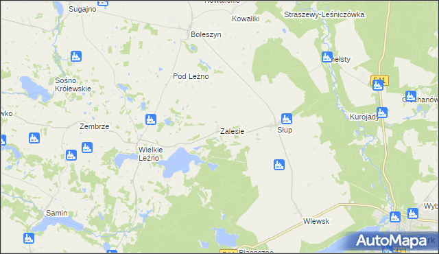 mapa Zalesie gmina Lidzbark, Zalesie gmina Lidzbark na mapie Targeo