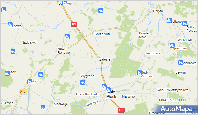 mapa Zalesie gmina Mały Płock, Zalesie gmina Mały Płock na mapie Targeo