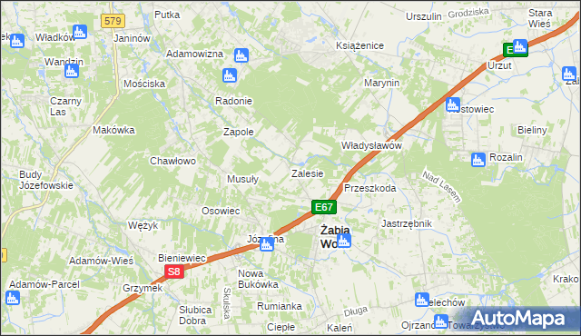 mapa Zalesie gmina Żabia Wola, Zalesie gmina Żabia Wola na mapie Targeo