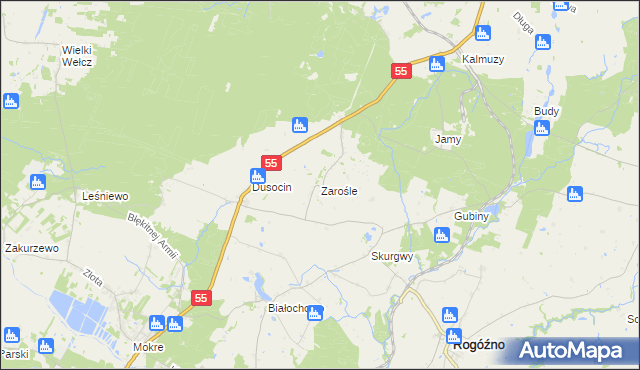 mapa Zarośle gmina Rogóźno, Zarośle gmina Rogóźno na mapie Targeo