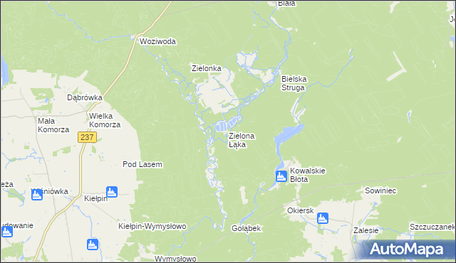 mapa Zielona Łąka gmina Tuchola, Zielona Łąka gmina Tuchola na mapie Targeo